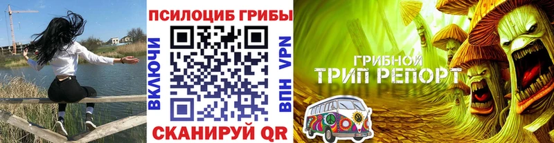 Псилоцибиновые грибы прущие грибы  Купить закладки  Уварово 